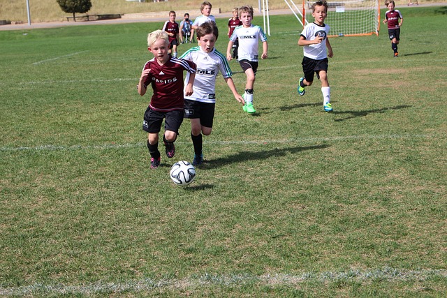 的分歧可能 的分歧可能