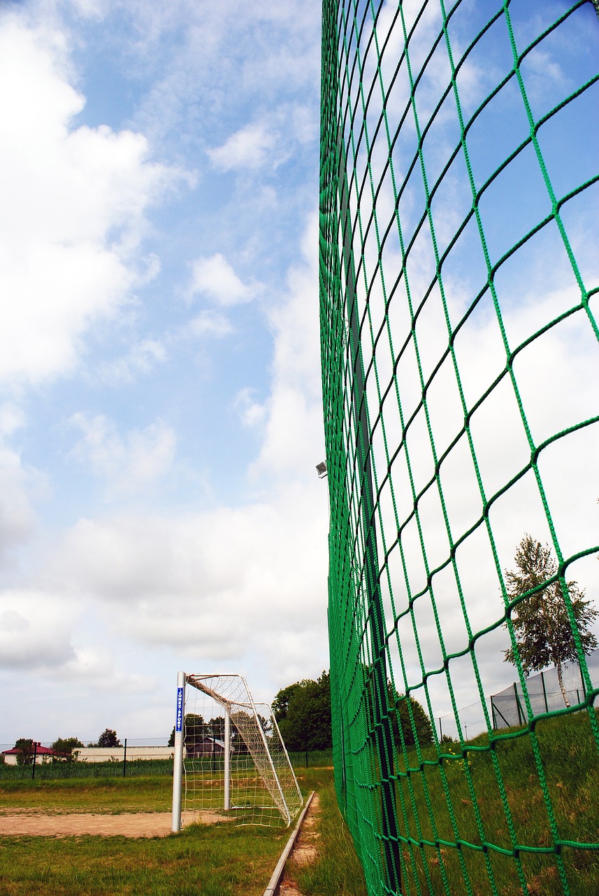 对于胜利的 对于胜利的