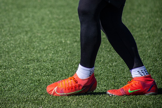 了无数精彩 了无数精彩